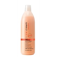 Daily Shampoo Rigenerante Uso Frequente - Arancia Speziata - 1000 ml - Inebrya